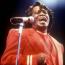 Foto 8 de James Brown