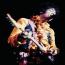 Foto 12 de Jimi Hendrix