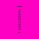 48:13 - Kasabian