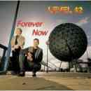 álbum Forever Now de Level 42