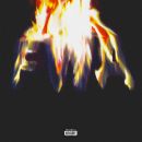 álbum Free Weezy Album de Lil Wayne