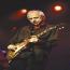 Foto 7 de Mark Knopfler