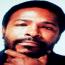 Foto 6 de Marvin Gaye