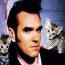 Foto 11 de Morrissey