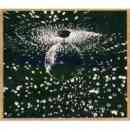 álbum Mirror Ball de Neil Young álbum Mirror Ball de Neil Young