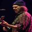 Foto 16 de Neil Young