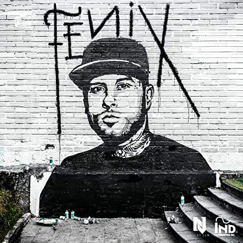 Biografía de Nicky Jam - Fénix