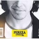 Animales - Pereza