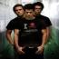 Foto 8 de Pignoise