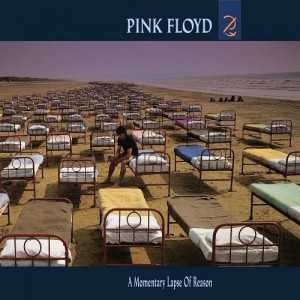 A Momentary Lapse Of Reason