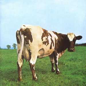 Atom heart mother