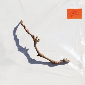 álbum I Inside The Old Year Dying de P.J. Harvey álbum I Inside The Old Year Dying de P.J. Harvey