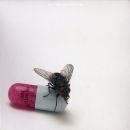 álbum I'm with You de Red Hot Chili Peppers