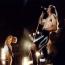 Foto 4 de Red Hot Chili Peppers