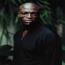 Foto 4 de Seal