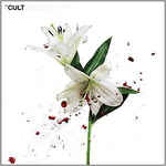 álbum Hidden City de The Cult álbum Hidden City de The Cult