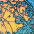 álbum Is This It de The Strokes álbum Is This It de The Strokes