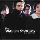 álbum Red Letter Days de The Wallflowers