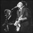 Foto 10 de The Wallflowers