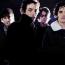 Foto 12 de The Wallflowers