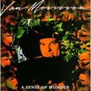 álbum A Sense of Wonder de Van Morrison álbum A Sense of Wonder de Van Morrison