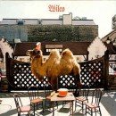 Wilco (The Album)
